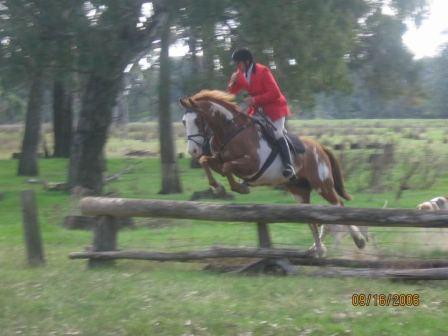 Derringdo Flying Colours